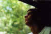 nickatwindow2.jpg (26188 bytes)