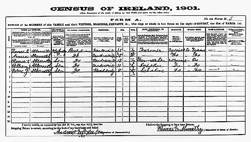 1901 Irish Census return